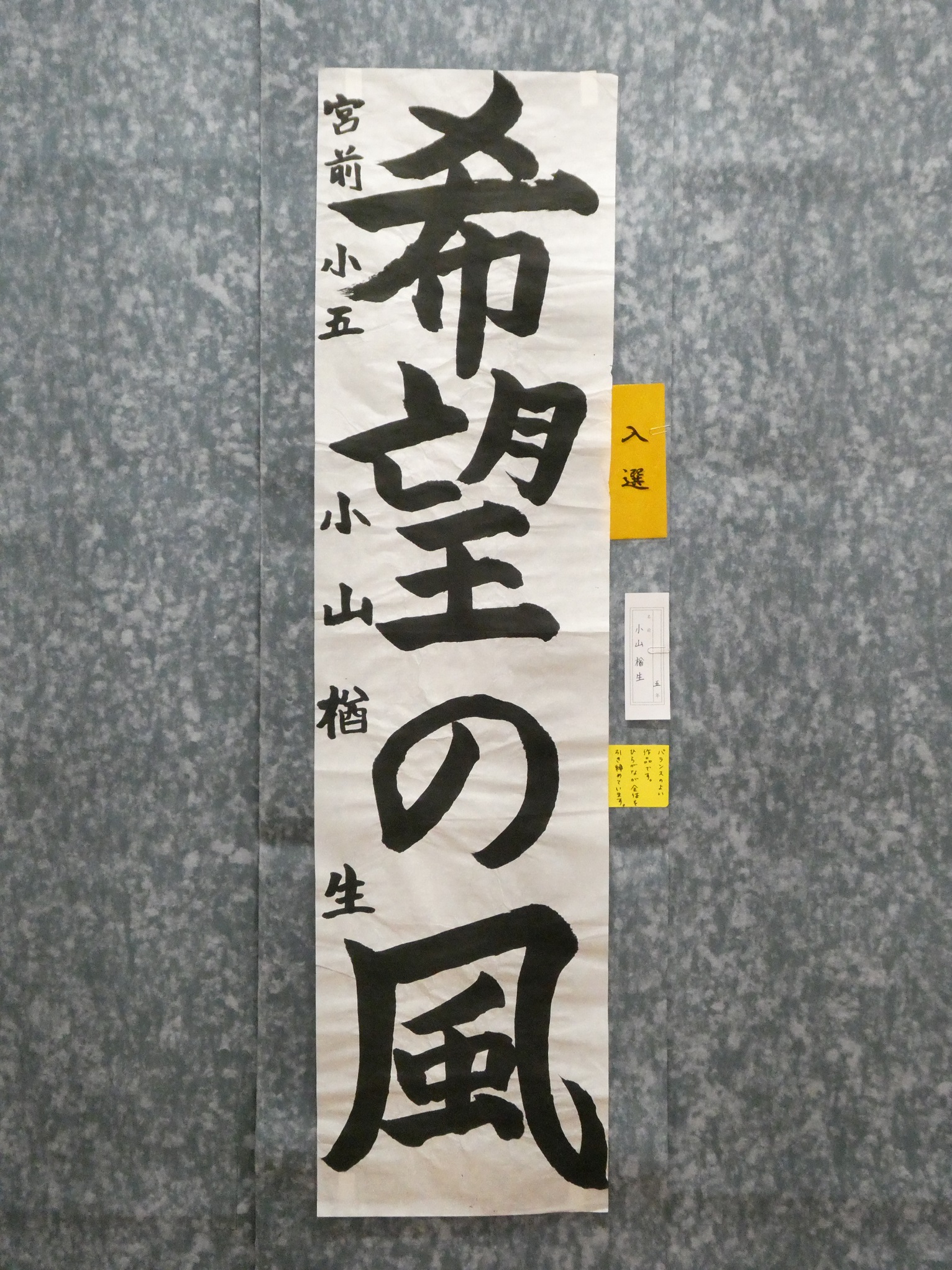 小山楢生