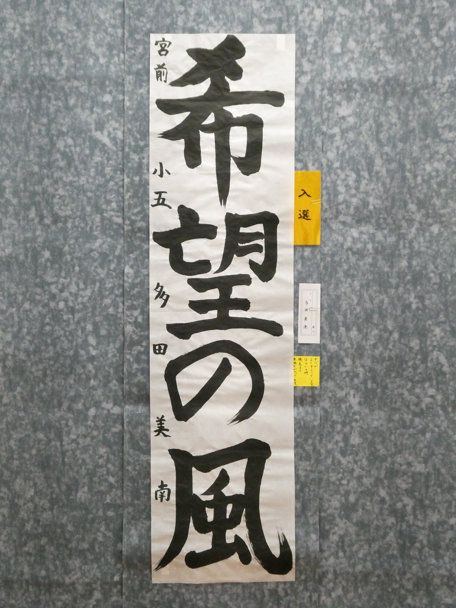 多田美南