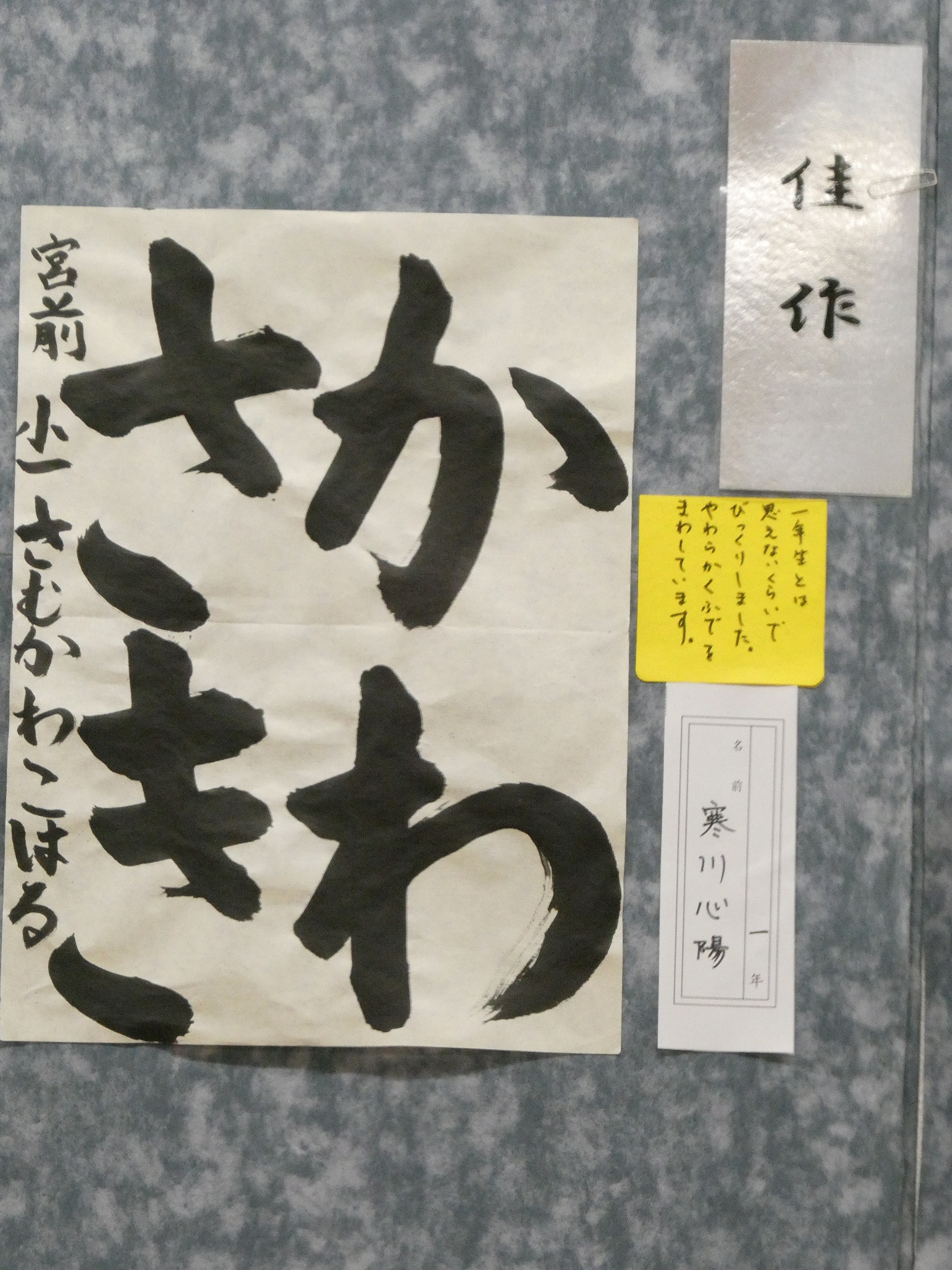 さむかわこはる