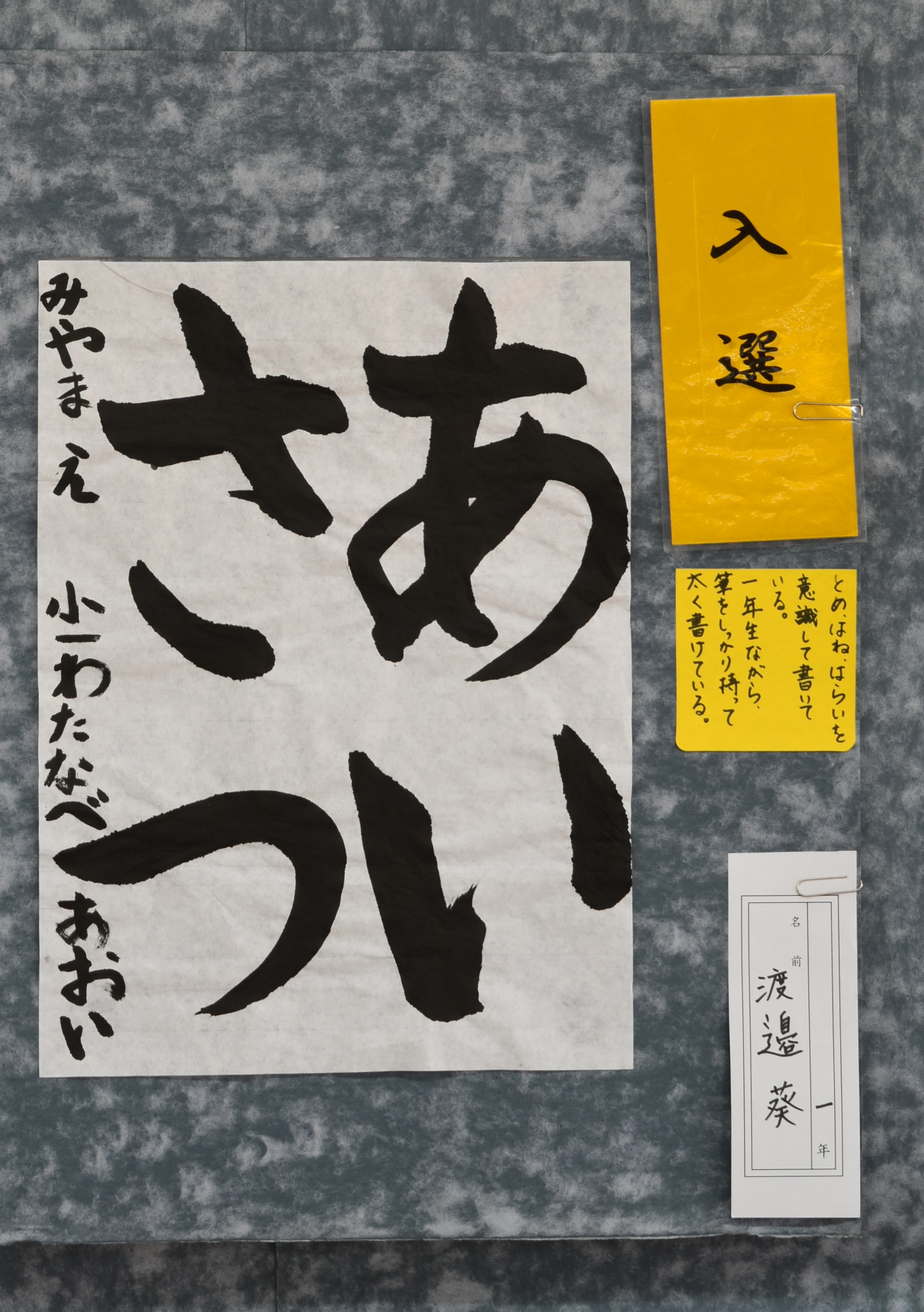 渡邉葵