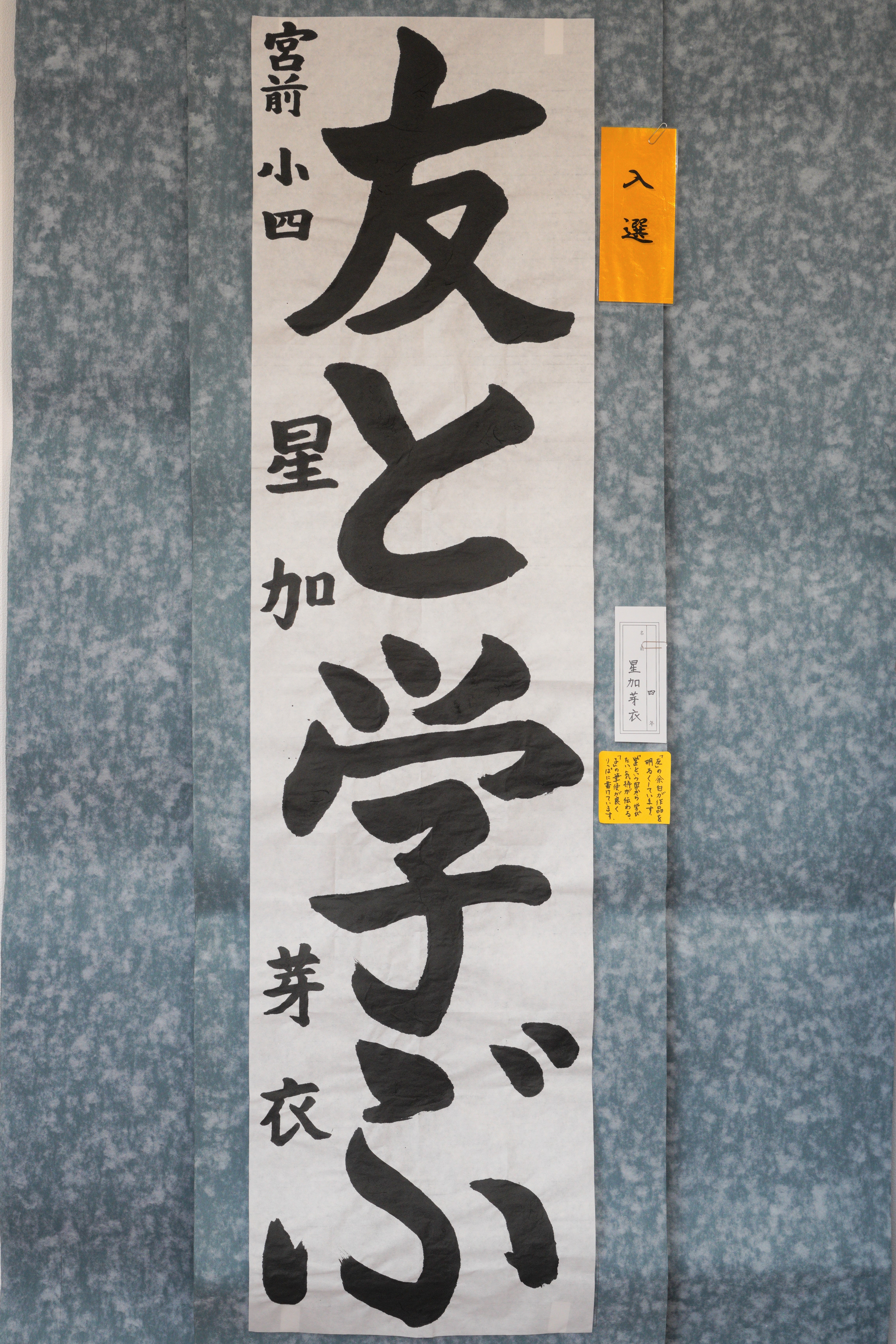 星加芽衣