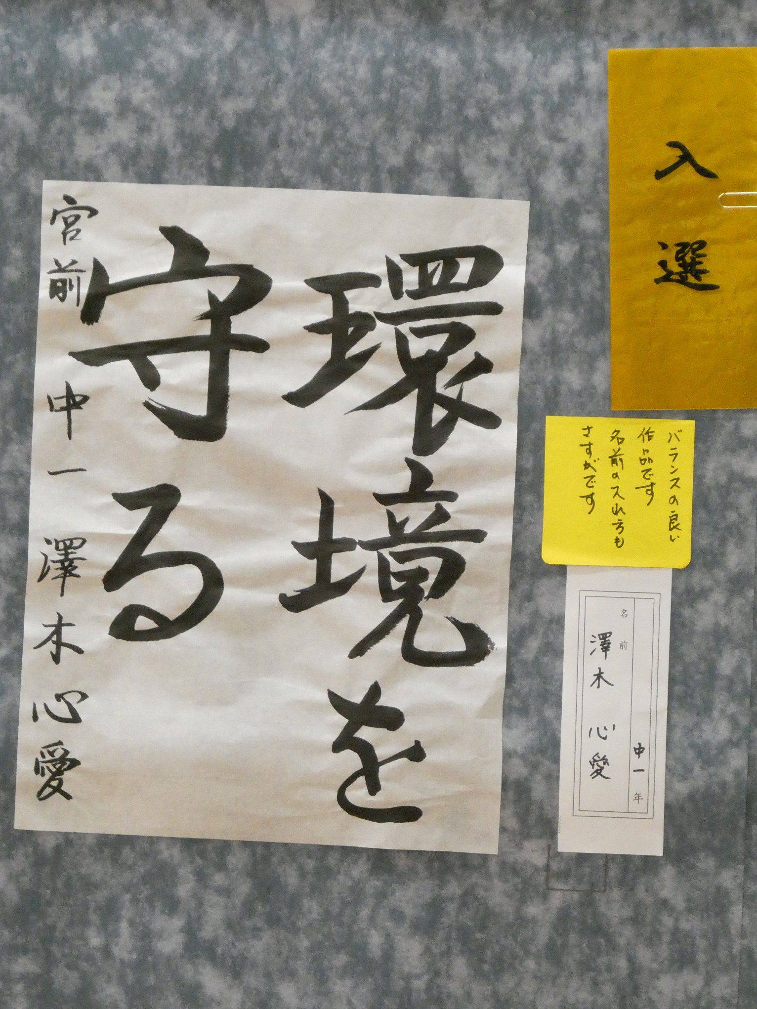 澤木心愛