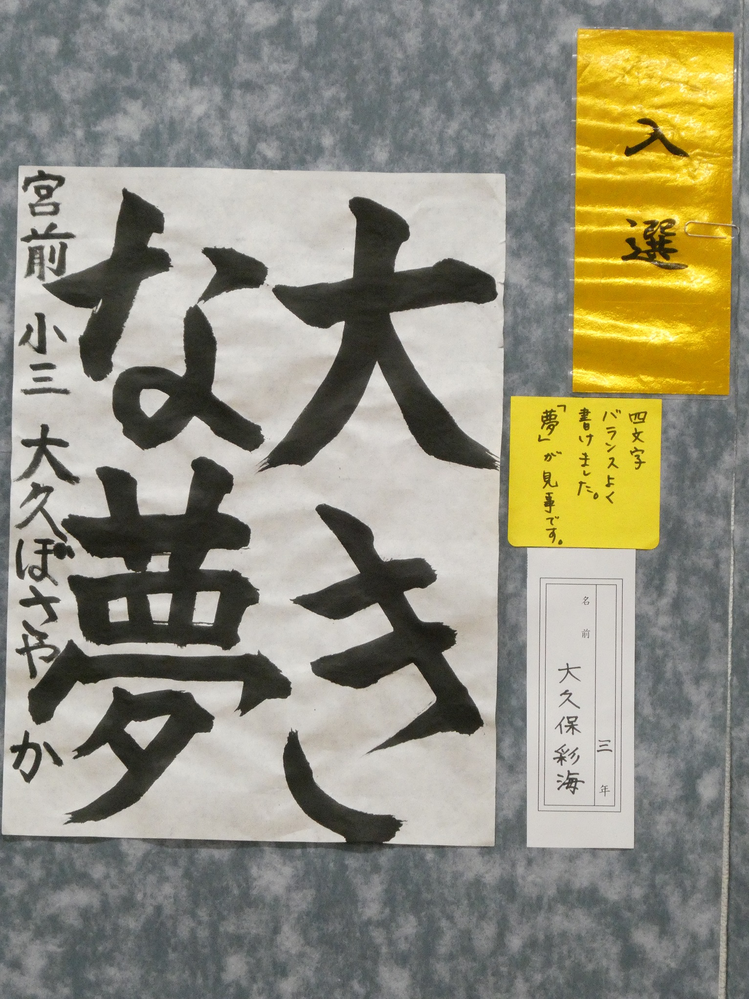 大久ぼさやか