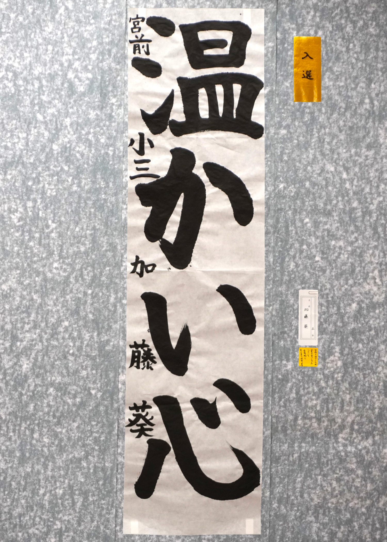 加藤 葵