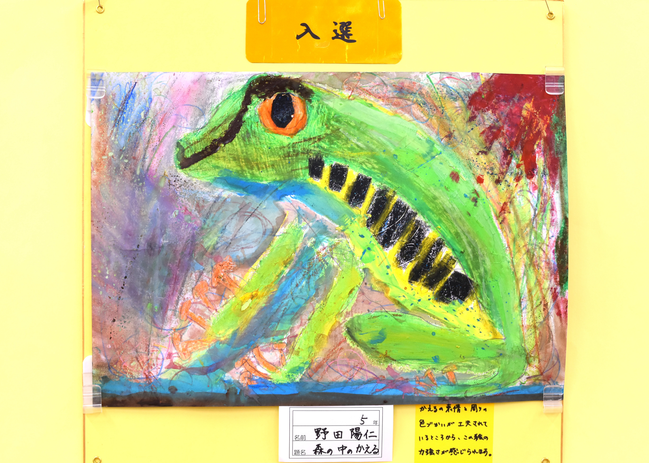 野田 陽仁