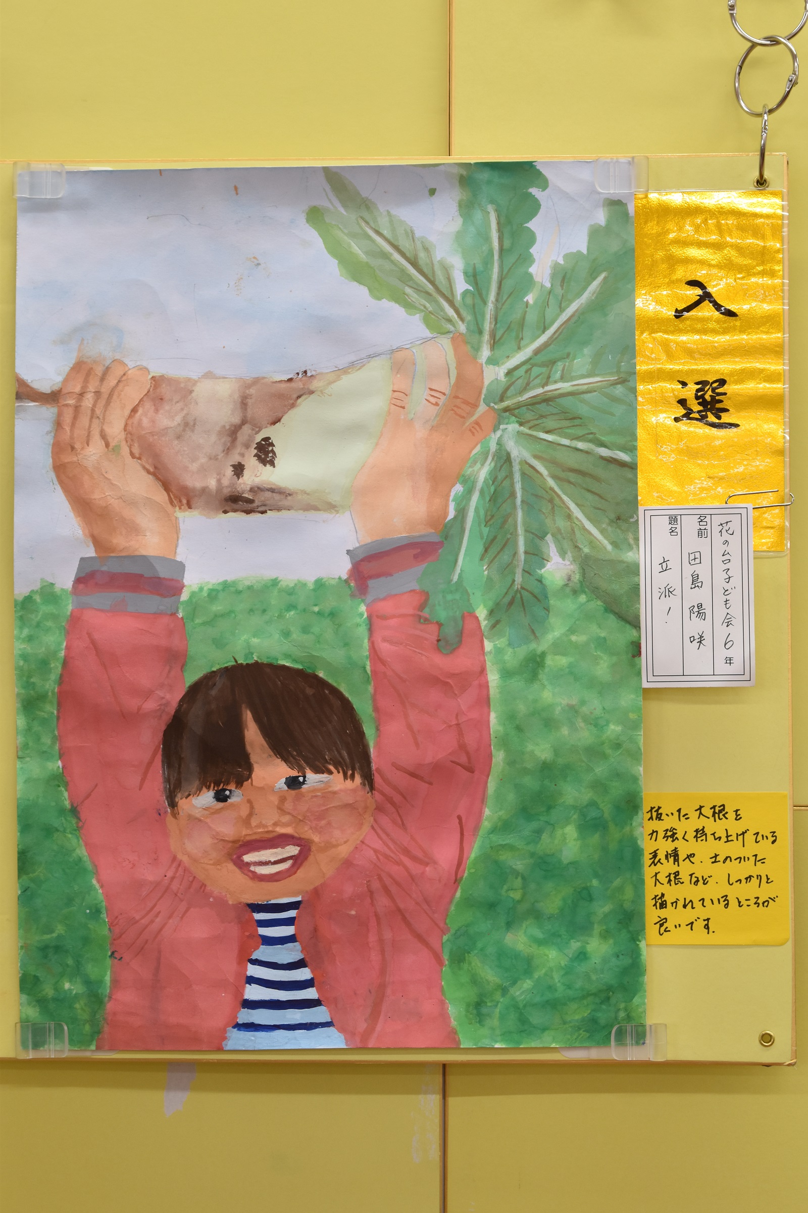 田島陽咲